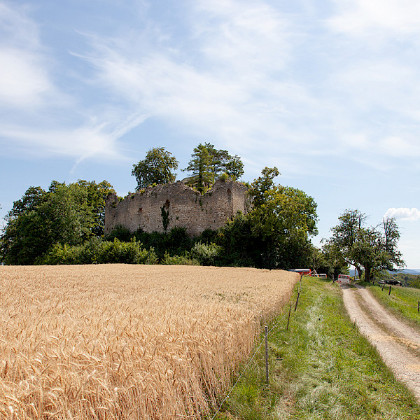 Sanierung Ruine Neu Schauenburg